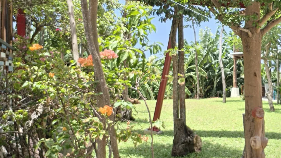 Travel garden photograph